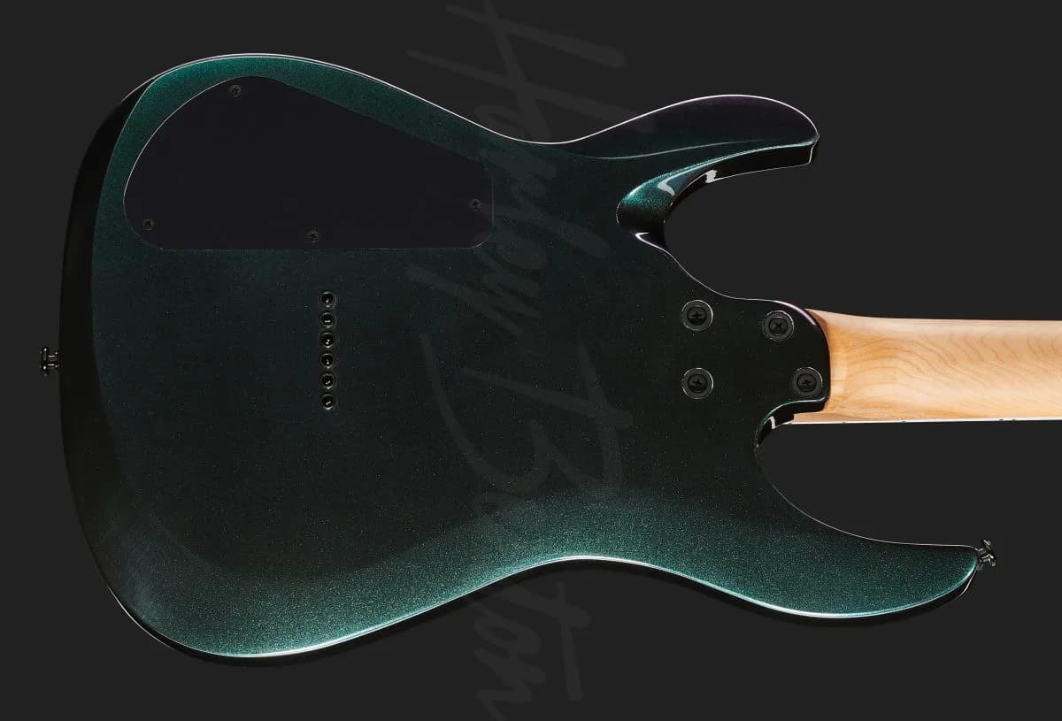 Harley Benton R-446 FFB — photo 5