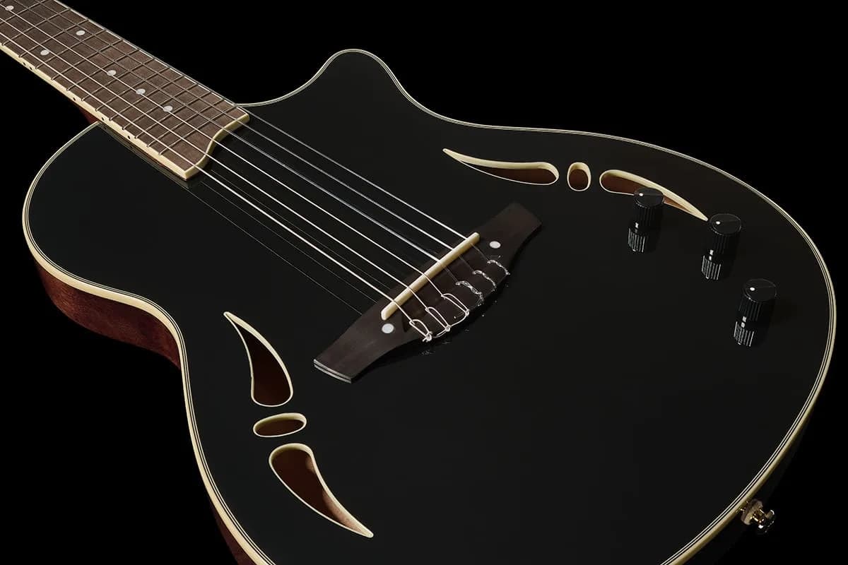 Harley Benton Nashville Nylon Black — photo 5