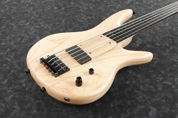 Ibanez GWB1005 — photo 2