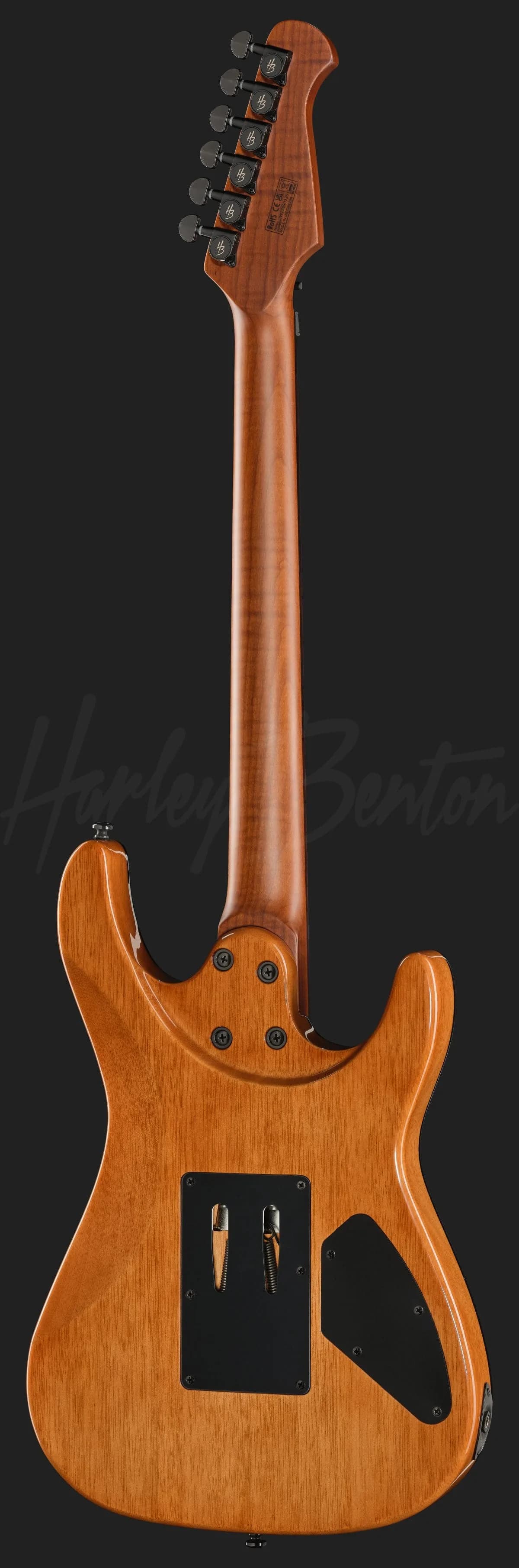 Harley Benton Fusion-IV HH LH RW FR WM — photo 3