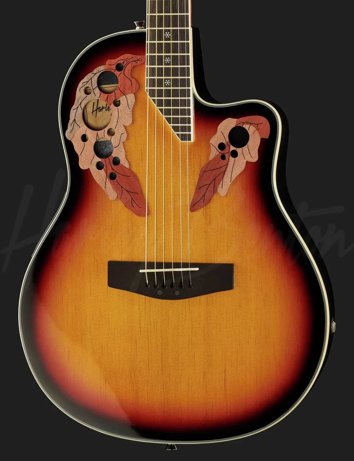 Harley Benton HBO-850 SB — photo 4
