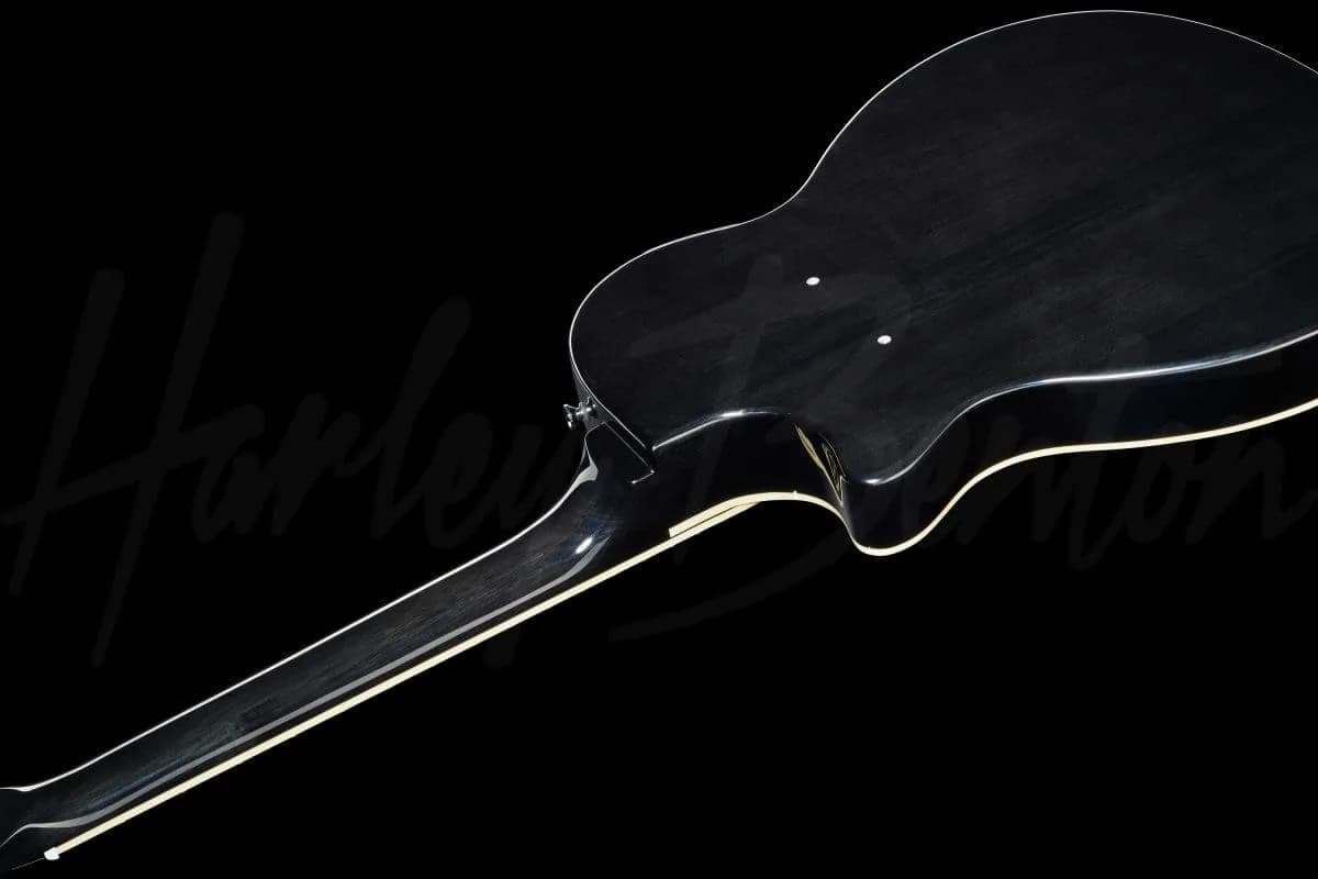 Harley Benton Nashville-Steel — photo 8