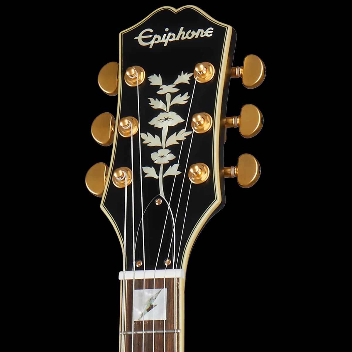Epiphone Emily Wolfe Sheraton Stealth, Black Aged Gloss — photo 5