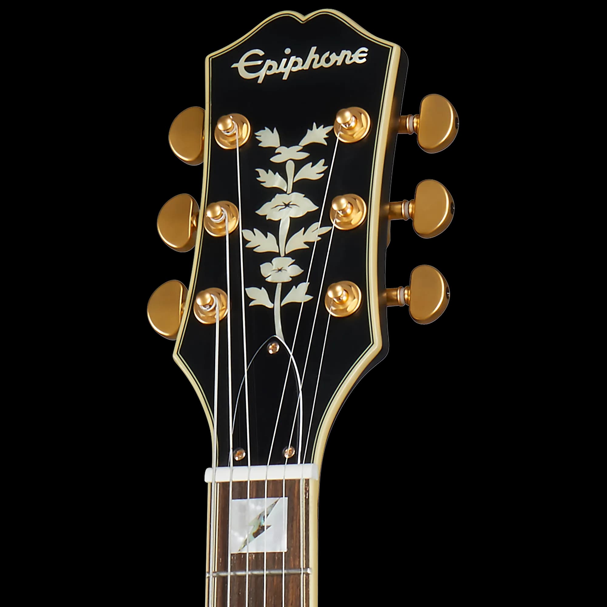 Epiphone Emily Wolfe Sheraton Stealth, Black Aged Gloss — photo 5