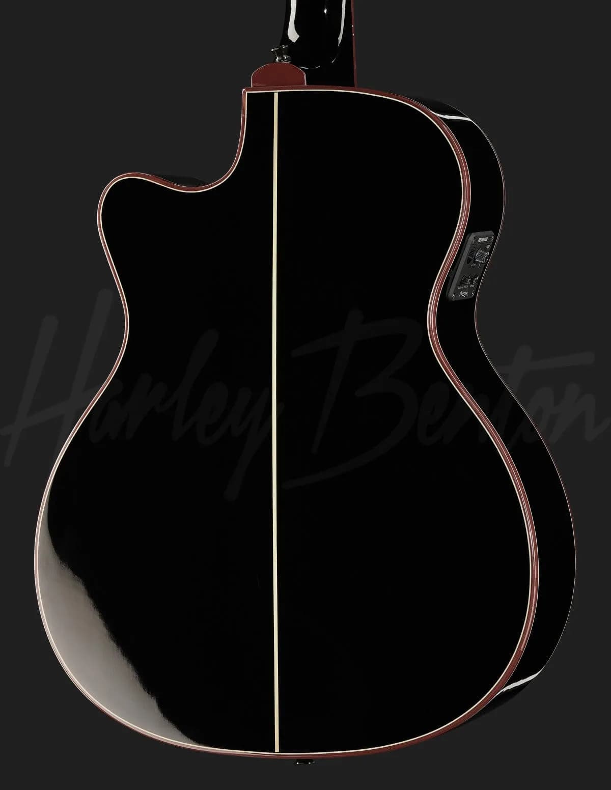 Harley Benton EAX-500TL Black — photo 5