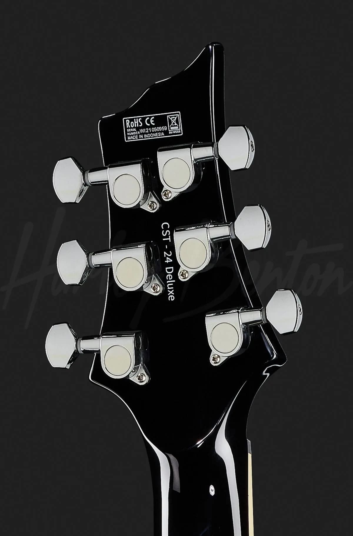 Harley Benton CST-24T P90 Black Flame — photo 7
