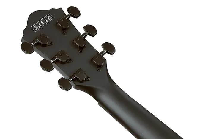 Ibanez AEG621 — photo 2