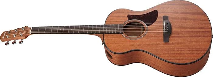 Ibanez AAM54 — photo 4