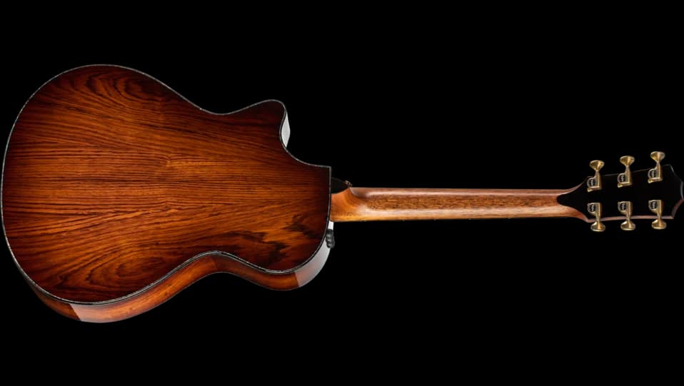 Taylor PS12ce Honduran Rosewood — photo 2