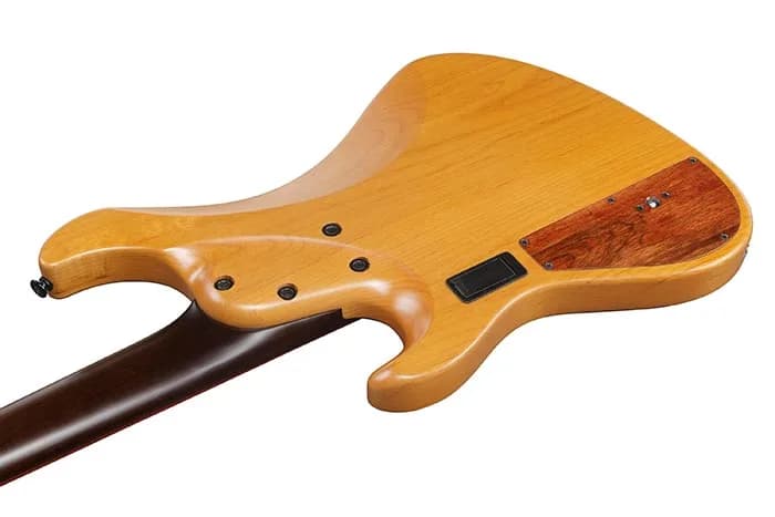 Ibanez IV2MDM — photo 4
