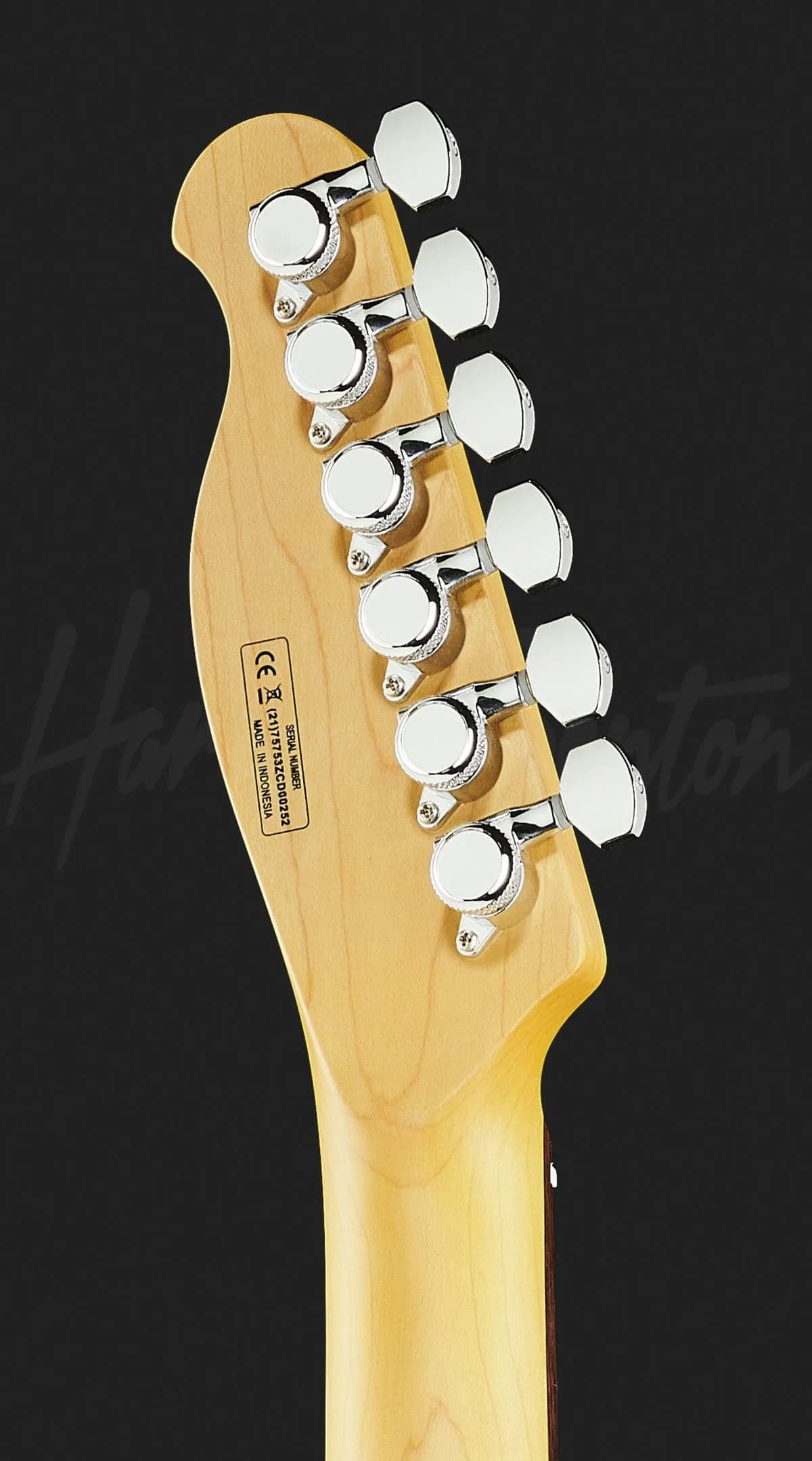 Harley Benton Fusion-T HH HT EB OCT — photo 7