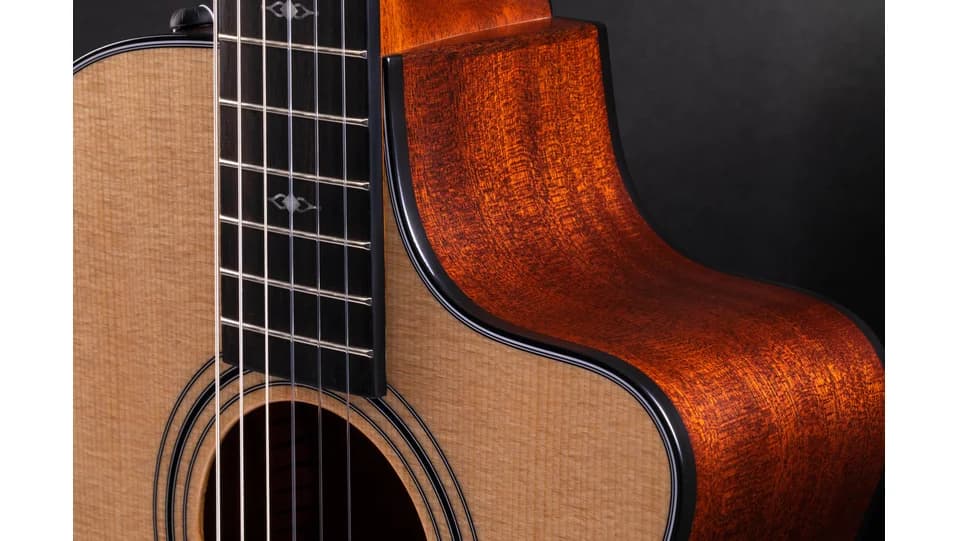 Taylor 312ce-N — photo 5