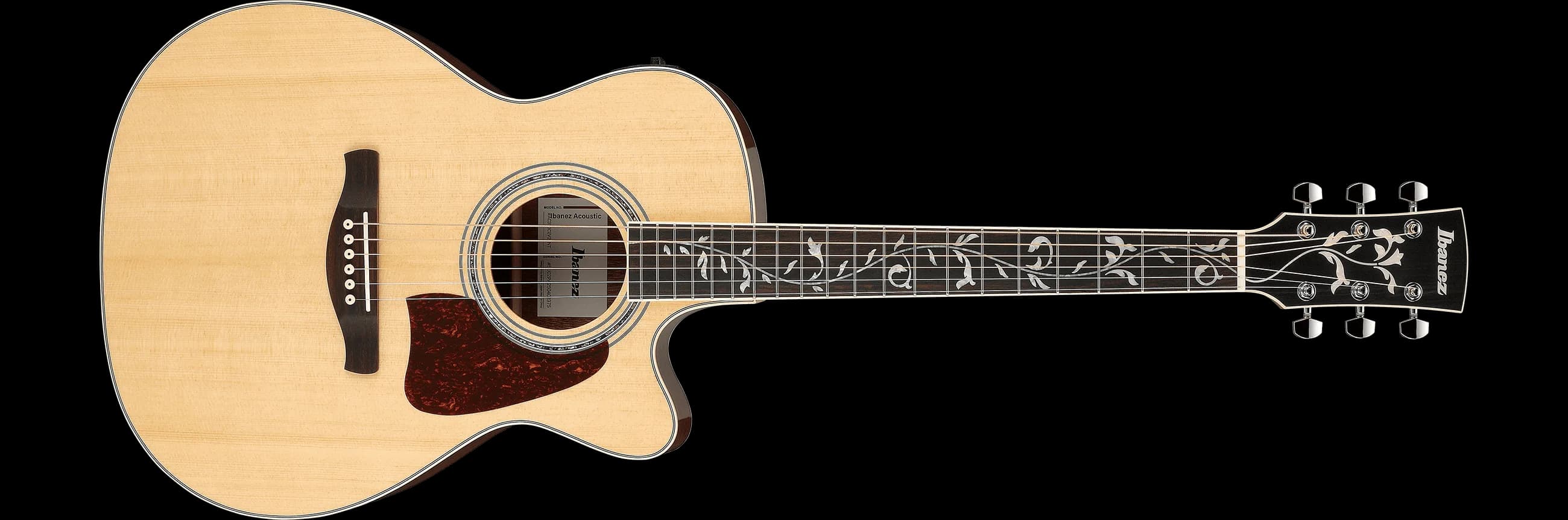 Ibanez AC390CE