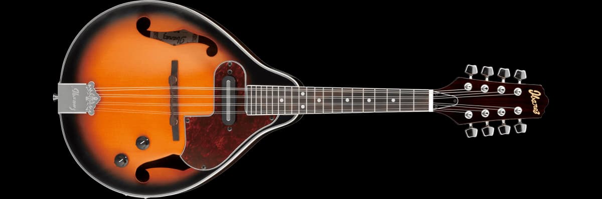 Ibanez M510E