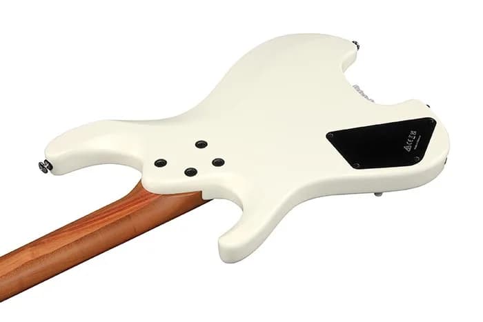 Ibanez ICHI10 — photo 3