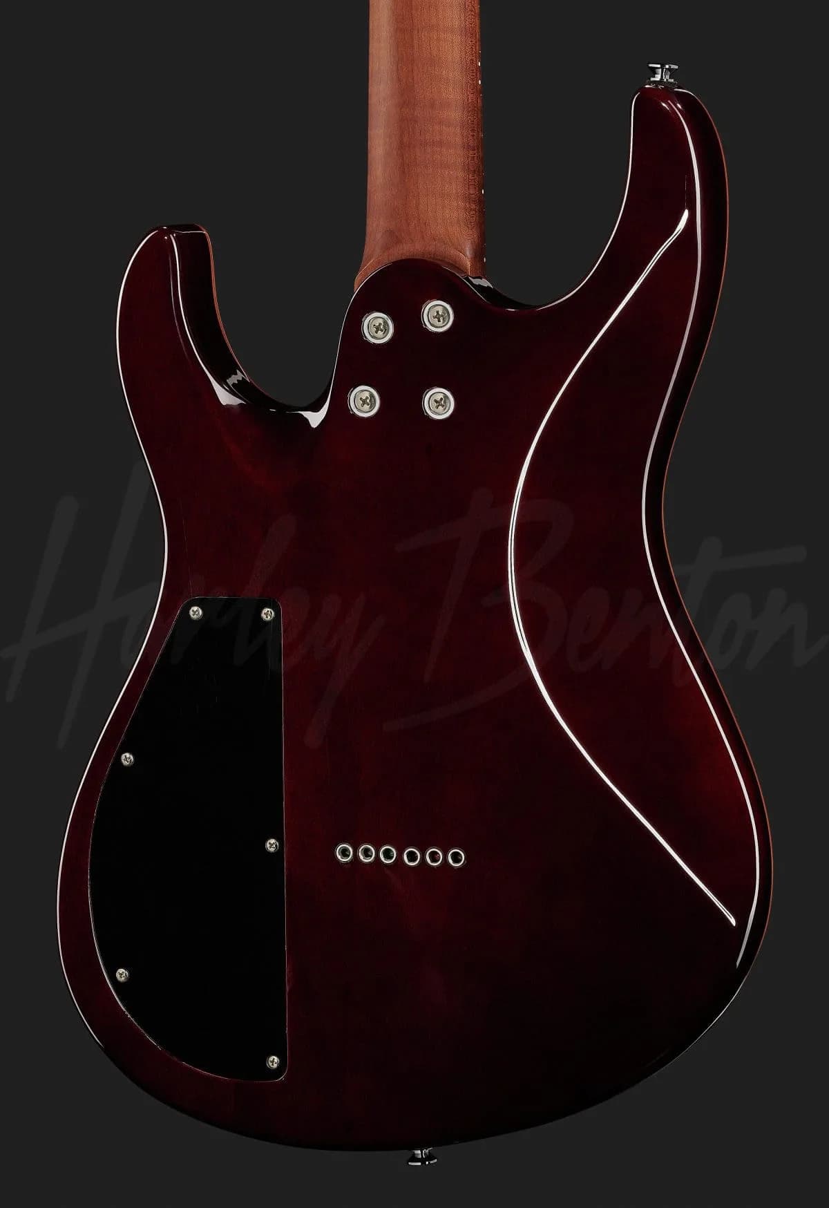 Harley Benton HP-42 Signature TT Roasted — photo 5
