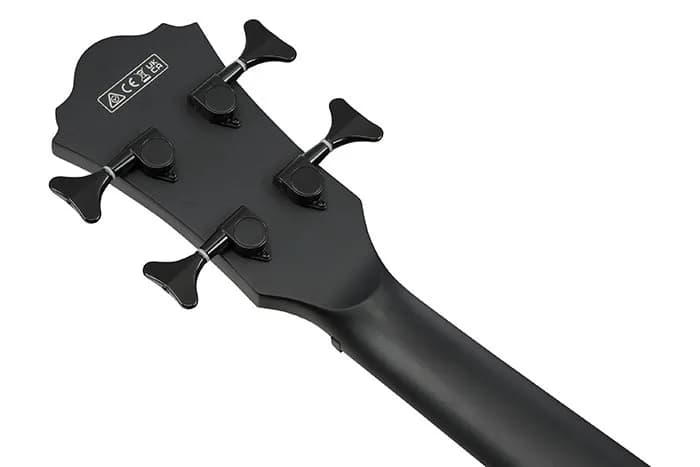 Ibanez AEGB420 — photo 2