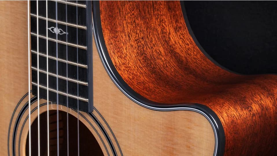 Taylor 314ce-N — photo 5