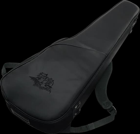 Ibanez TOD20FMN — photo 6