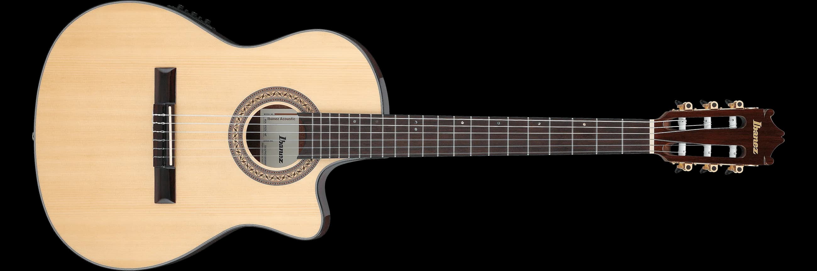 Ibanez GA35TCE — photo 2