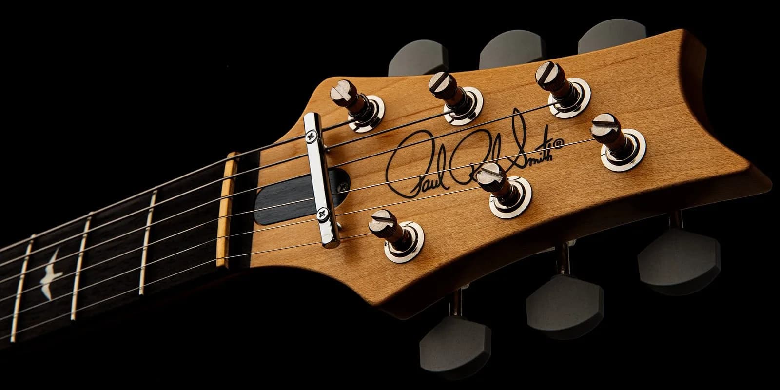 PRS "Dead Spec" Silver Sky — photo 6