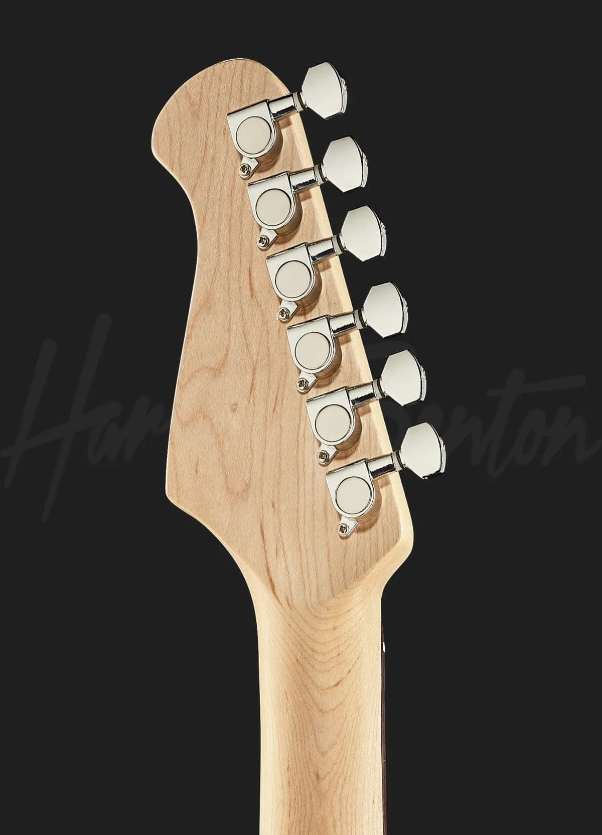 Harley Benton ST-20HSS CA — photo 7