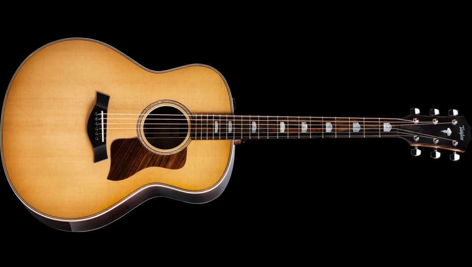 Taylor 818e