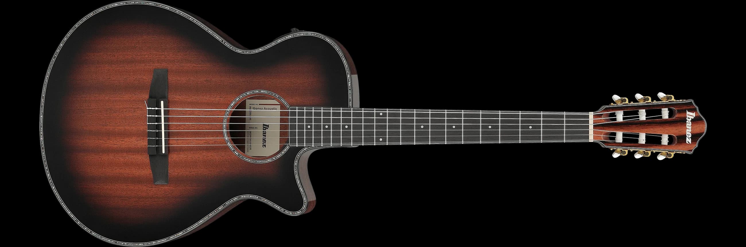 Ibanez AEG74N