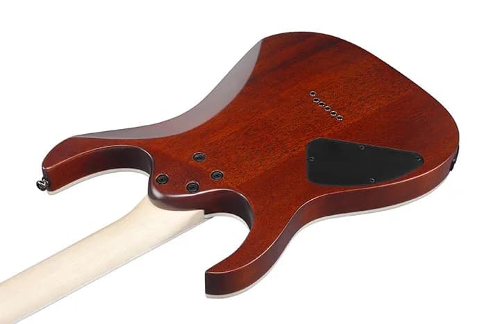 Ibanez RG421S — photo 3