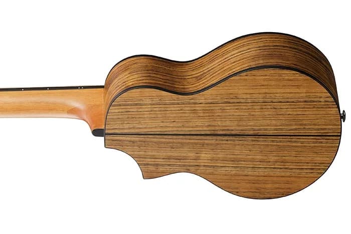 Ibanez EWP14WB — photo 3