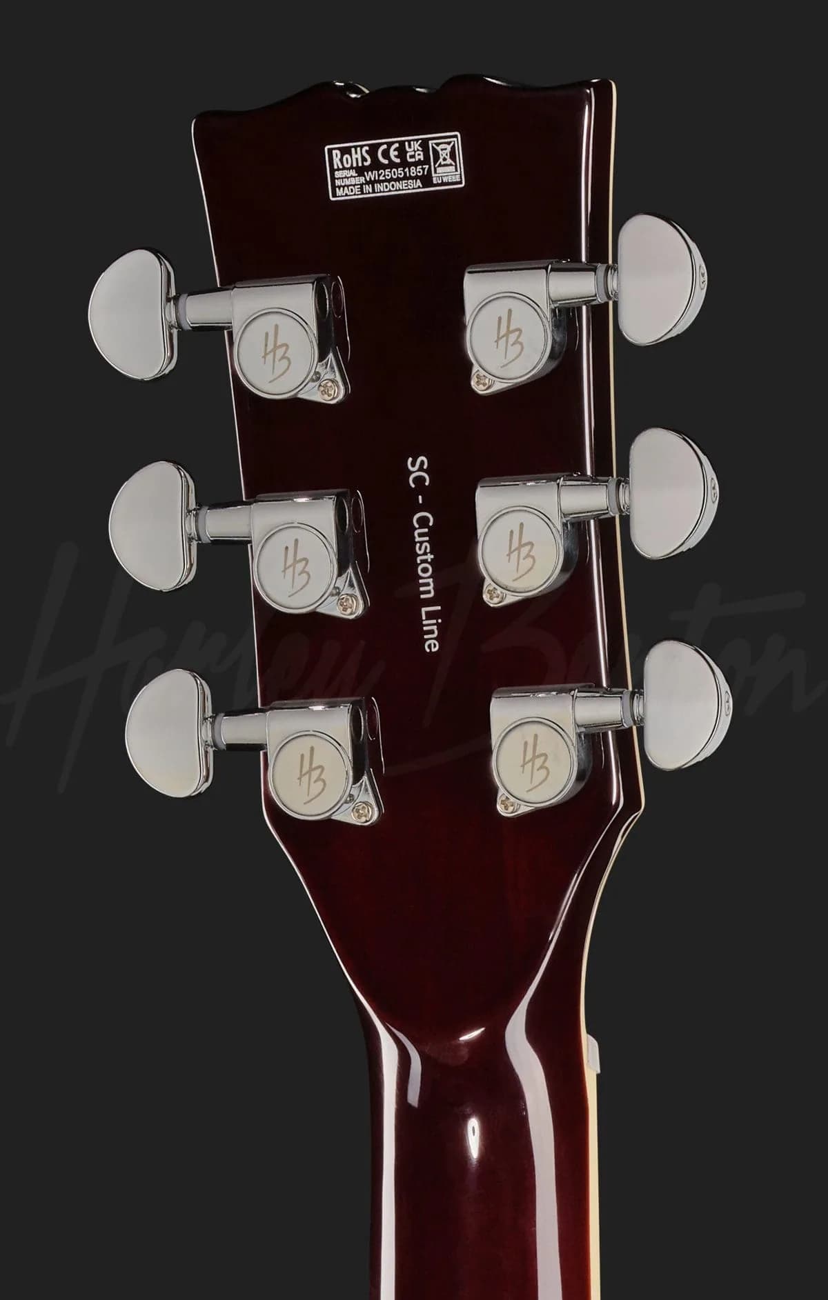 Harley Benton SC-Custom III Desert Burst — photo 7