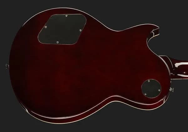 Harley Benton SC-450 P90 GT — photo 5