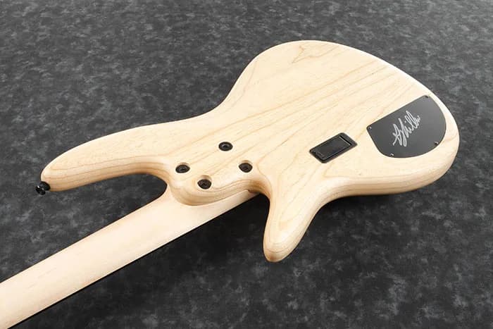 Ibanez GWB1005 — photo 3
