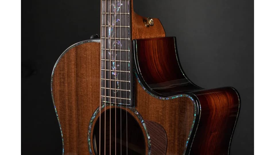 Taylor PS14ce Honduran Rosewood — photo 7