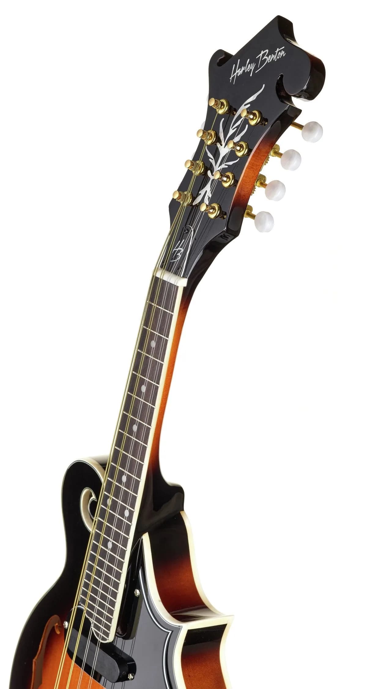 Harley Benton MA-100E VS — photo 8