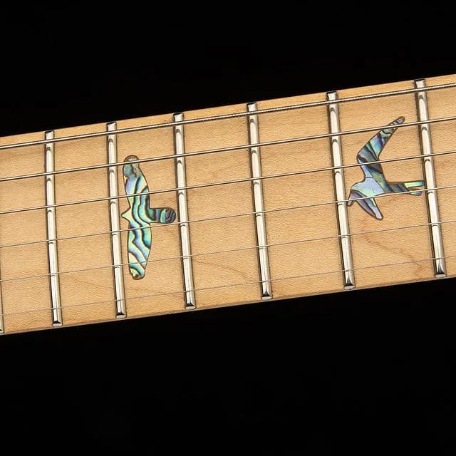 PRS SE Swamp Ash Special — photo 6