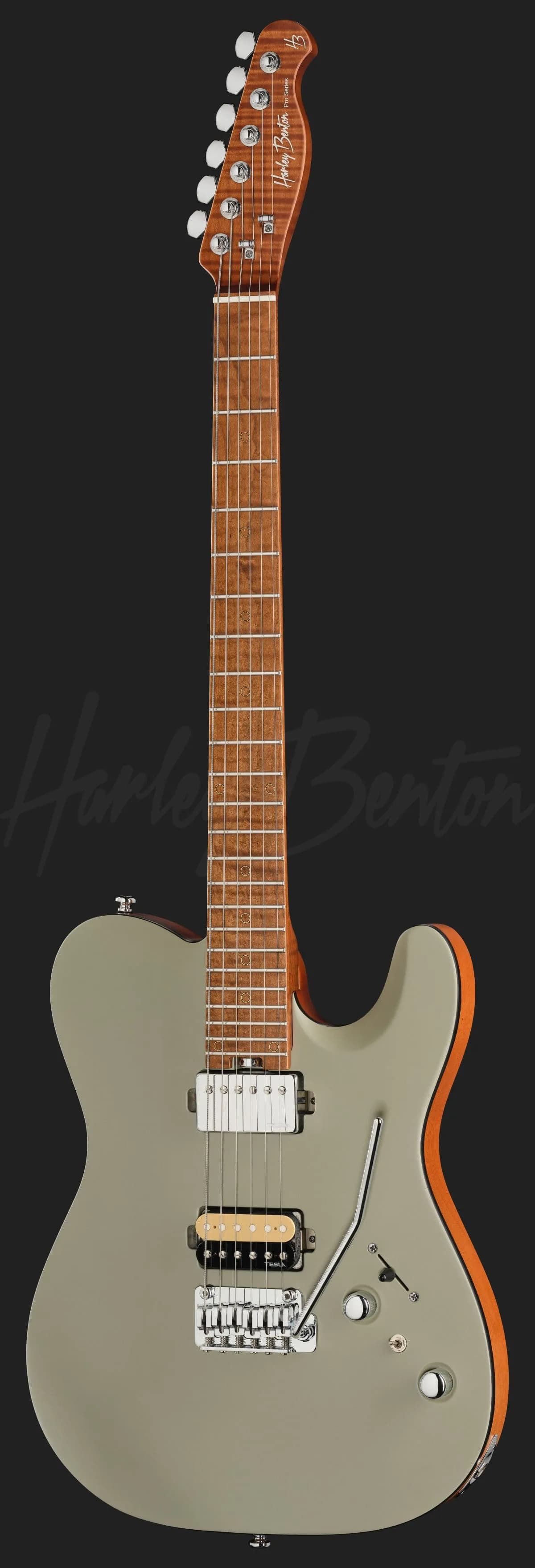 Harley Benton Fusion-T II HH MN SGR — photo 2