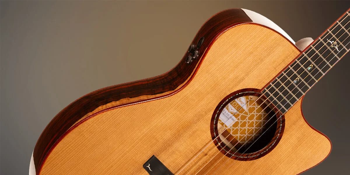 Cort Gold-A10 Cocobolo — photo 2