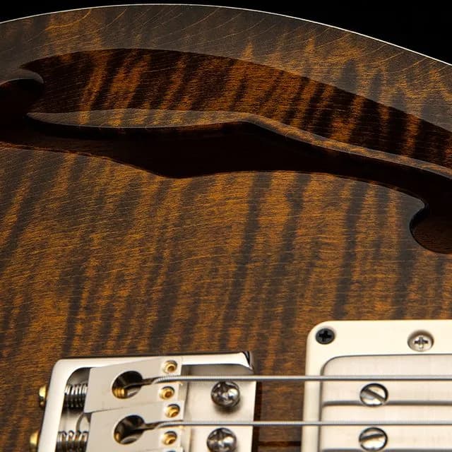 PRS DGT Semi-Hollow — photo 6