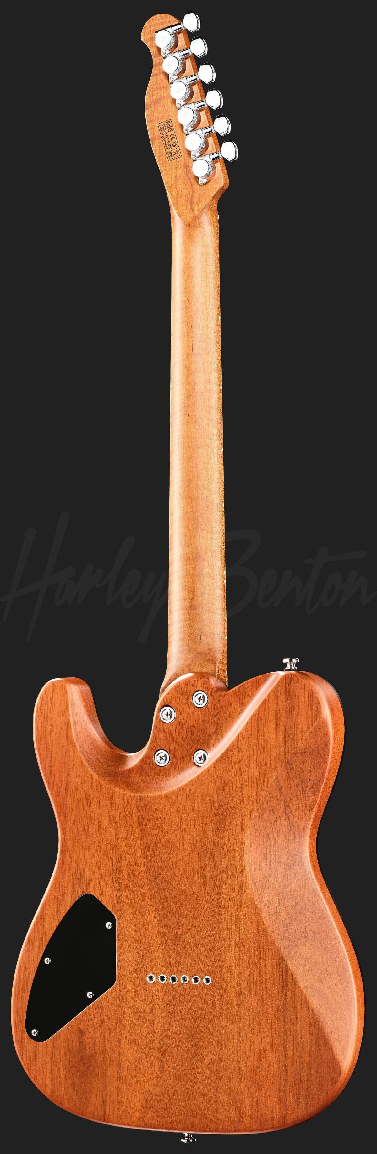 Harley Benton Fusion-T II HH MN HT SGR — photo 3