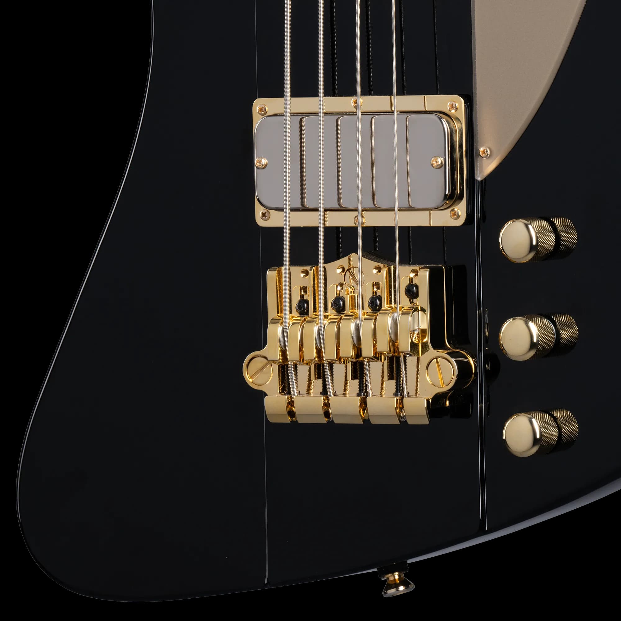 Epiphone Rex Brown Thunderbird Bass, Ebony — photo 8