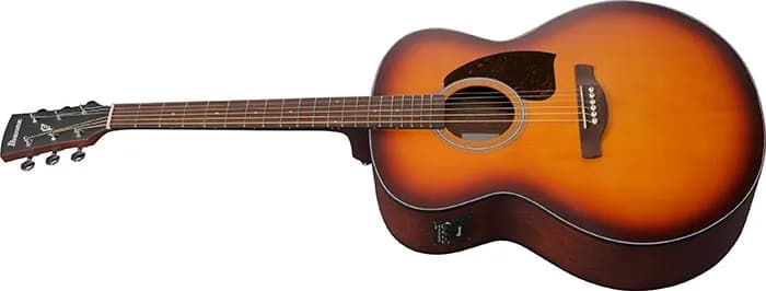 Ibanez PJ50E — photo 4