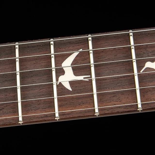 PRS S2 Custom 24 — photo 6