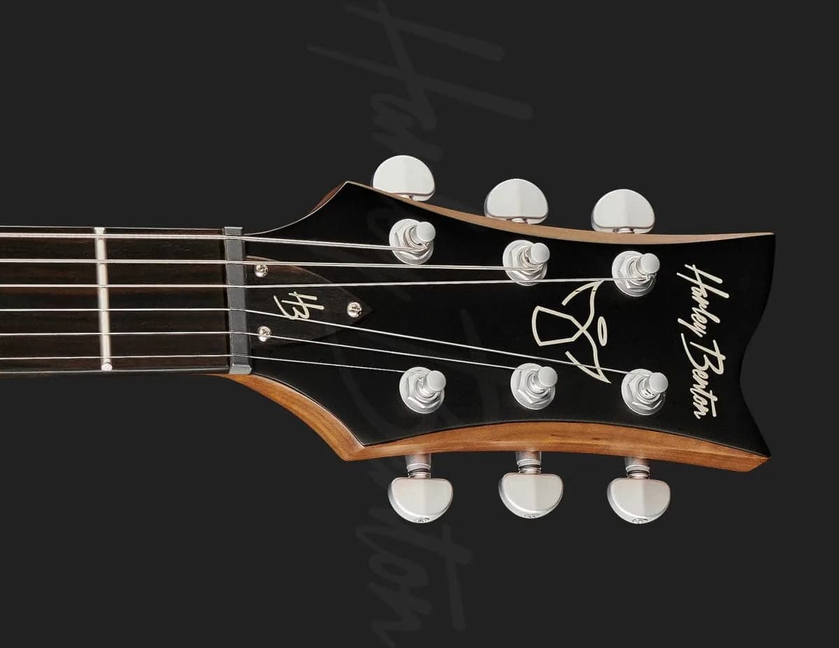 Harley Benton Agufish STD Signature BK — photo 6