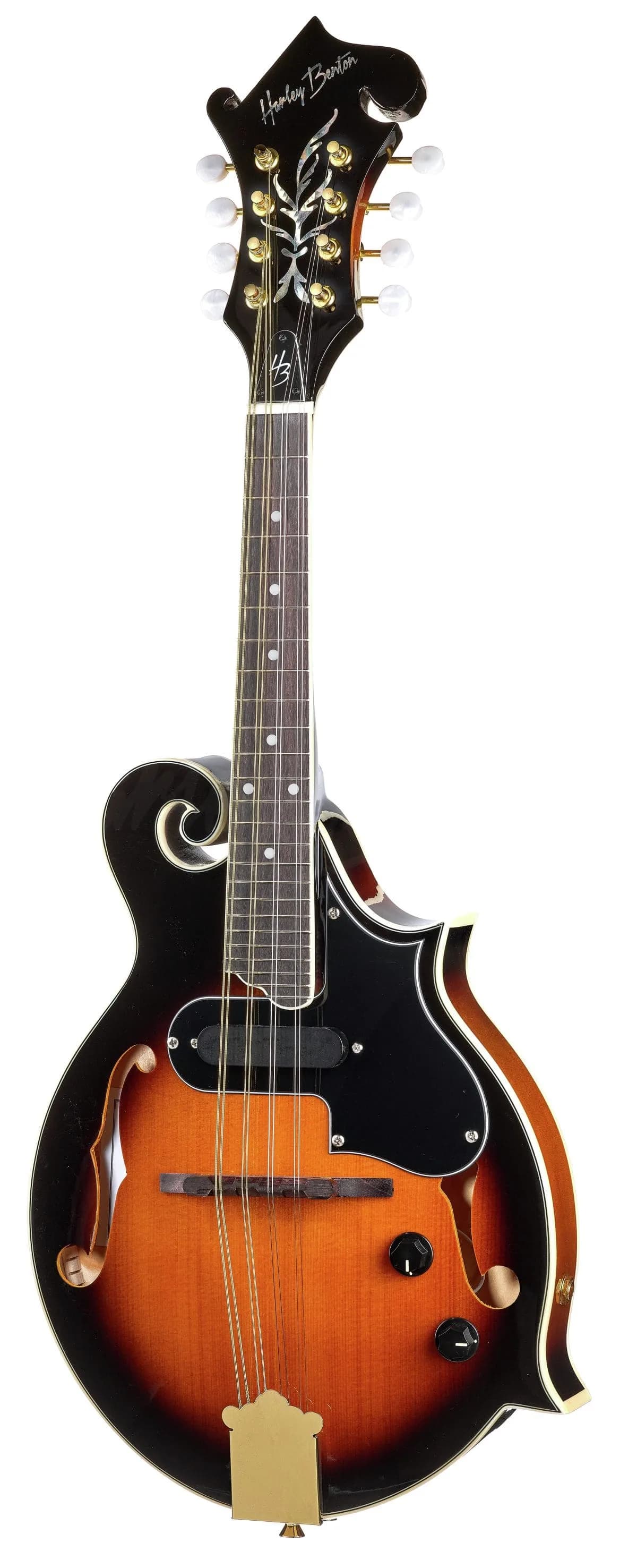 Harley Benton MA-100E VS — photo 2