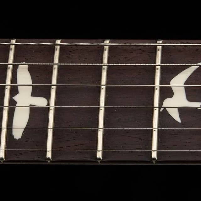 PRS S2 Special Semi-Hollow Reclaimed Limited Edition — photo 7