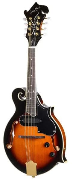 Harley Benton MA-100E VS
