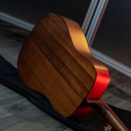 Cort Trailblazer Pack — photo 4