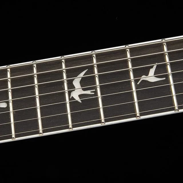 PRS SE Mark Holcomb SVN — photo 6