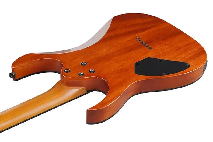 Ibanez GRGR221FA — photo 3